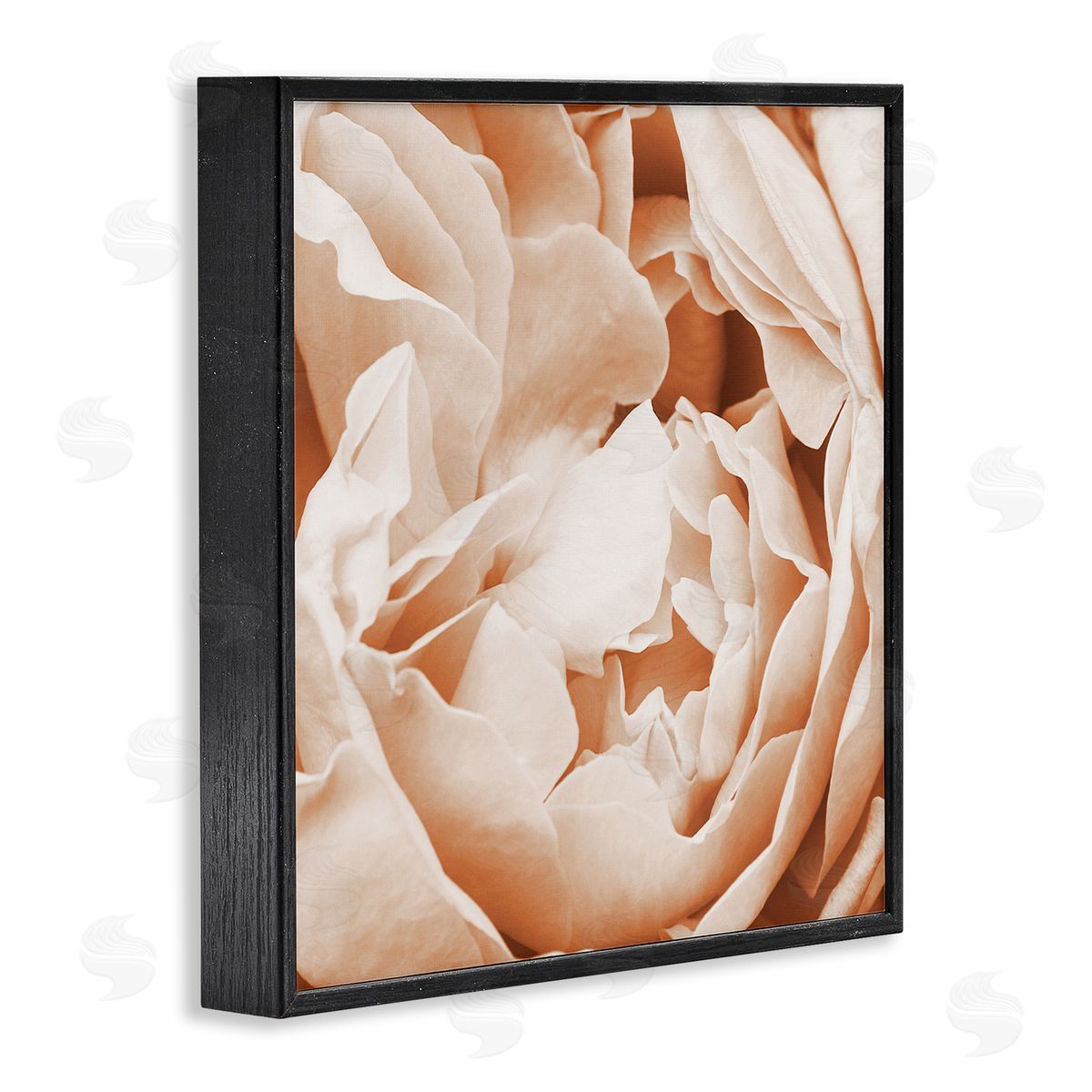 LSR Design Studio Pastel Pink Peony Petals Black Framed Glicee Wall Art Print