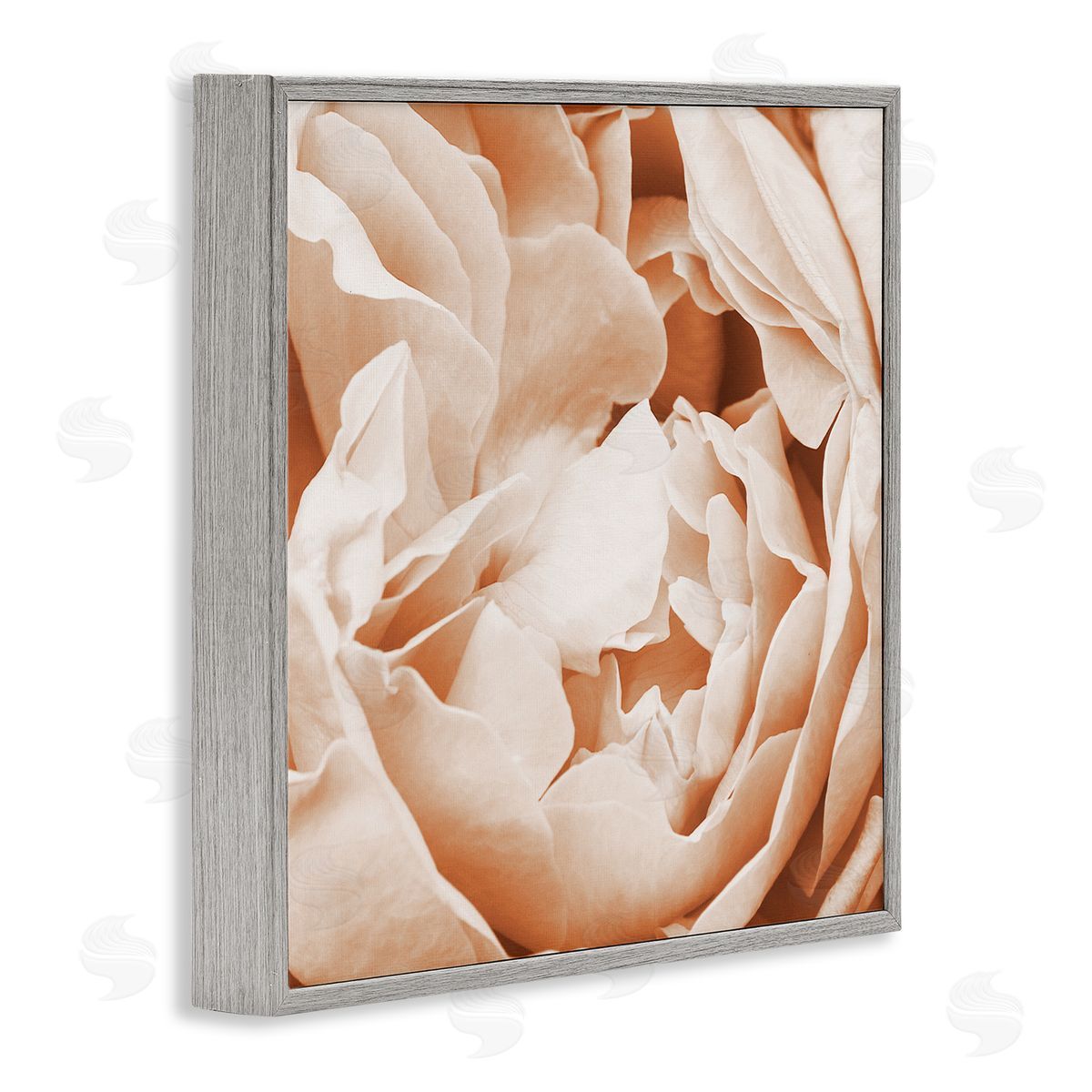 LSR Design Studio Pastel Pink Peony Petals Gray Framed Glicee Wall Art Print