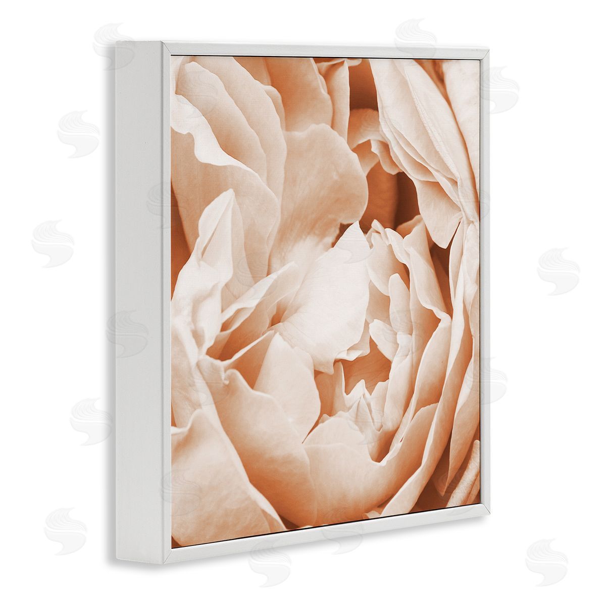 LSR Design Studio Pastel Pink Peony Petals White Framed Glicee Wall Art Print