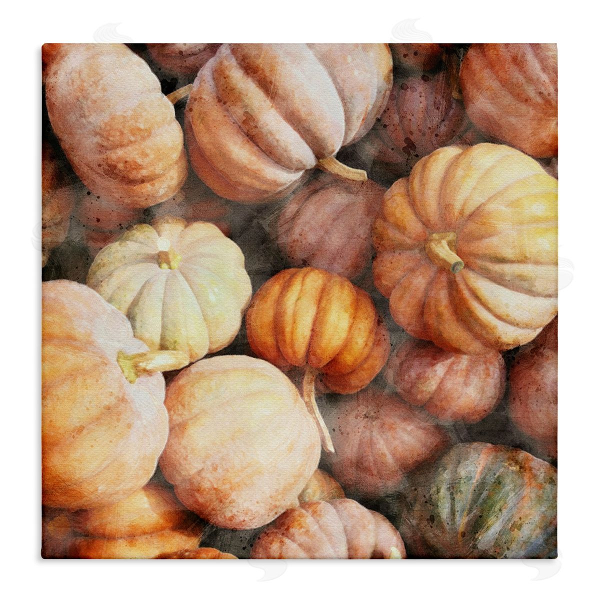 LSR Design Studio Fall Pumpkins & Gourds Stretched Canvas Wall Art Print