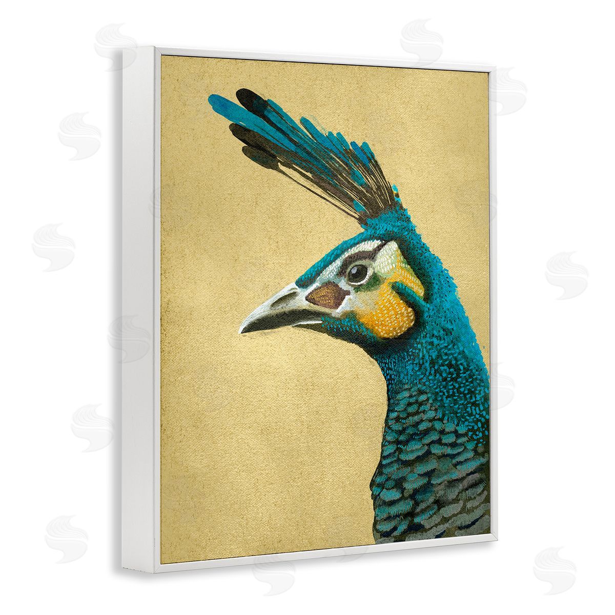 Katie O'Shea Peacock Looking Left White Framed Giclee Wall Artside_