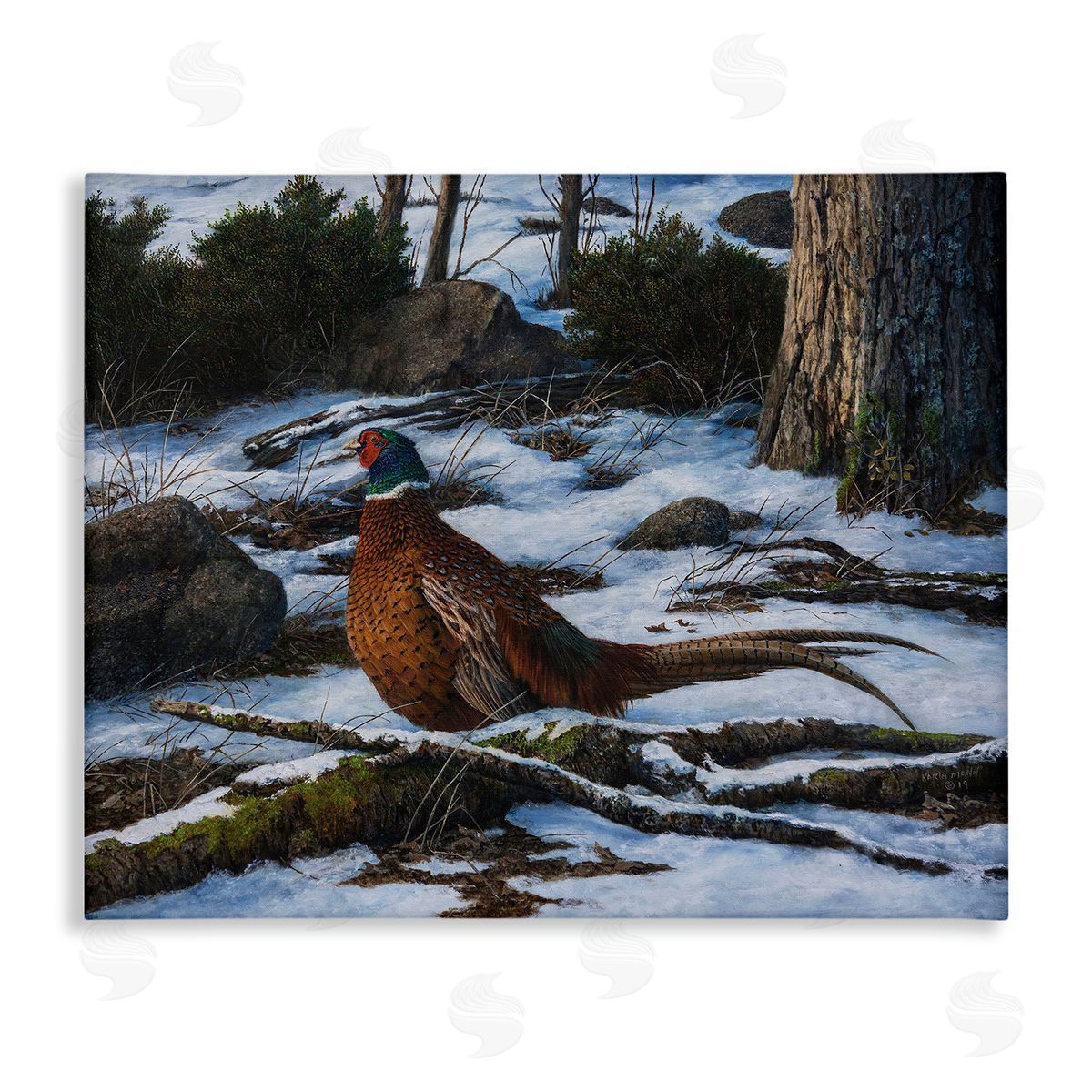 Karla Mann Pheasant in Snowy Woods Canvas Wall Art