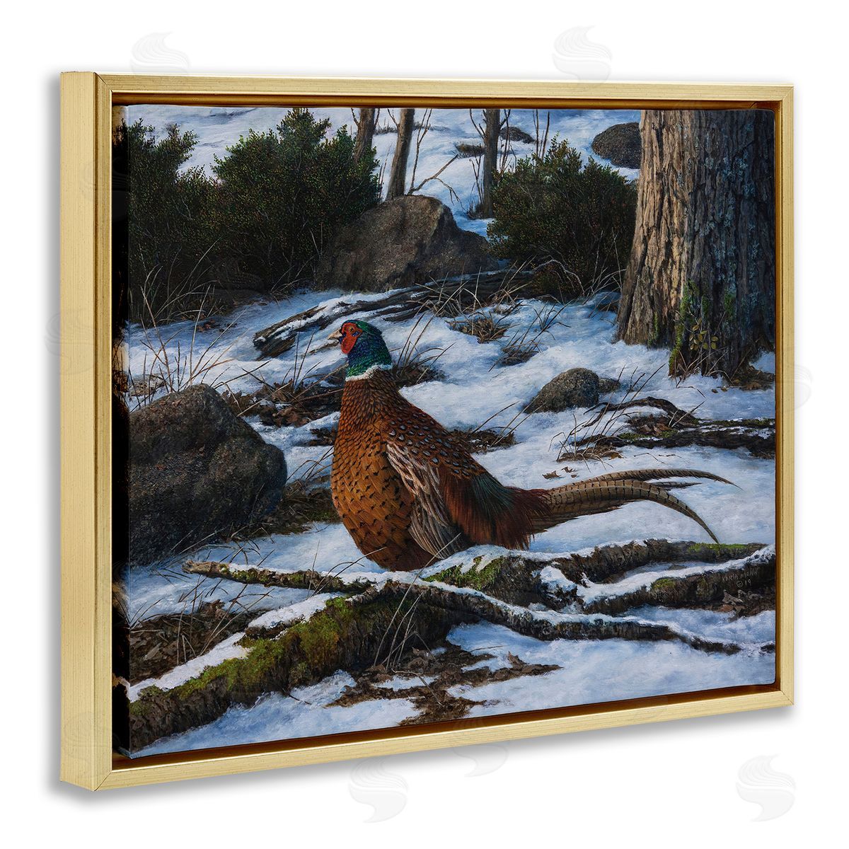 Karla Mann Pheasant in Snowy Woods Gold Floater Frame Canvas Artside_