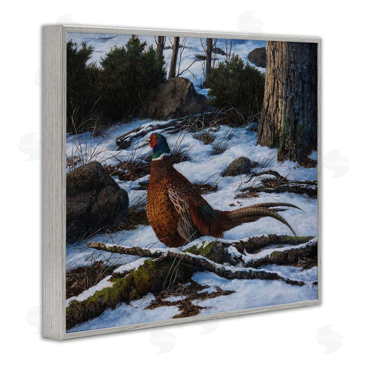Karla Mann Pheasant in Snowy Woods Gray Framed Giclee Wall Artside_