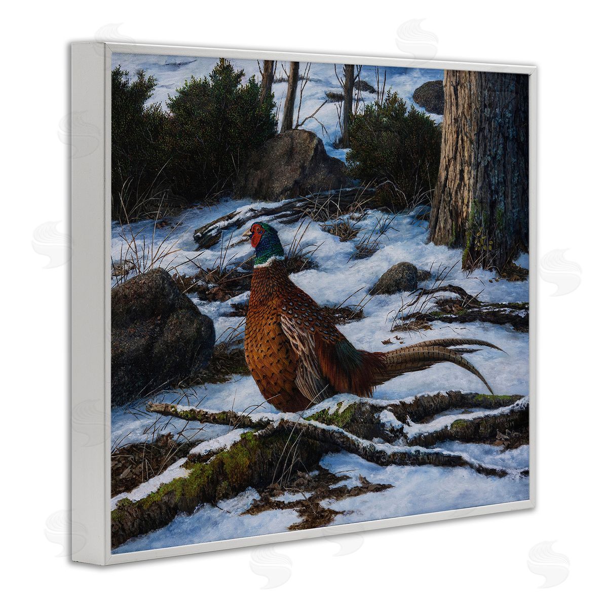 Karla Mann Pheasant in Snowy Woods White Framed Giclee Wall Artside_