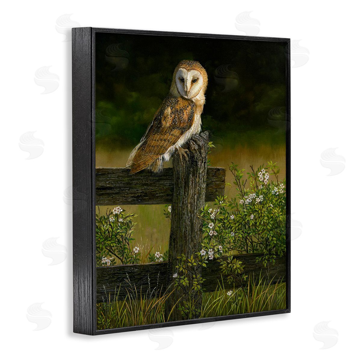 Karla Mann Barn Owl on Fence Black Framed Giclee Wall Artside_