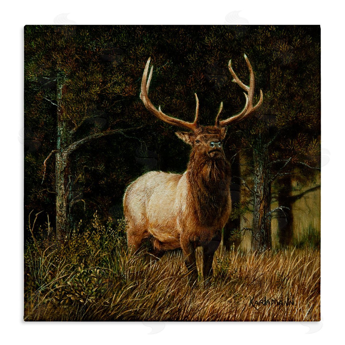 Karla Mann Elk in Forest Painting Canvas Wall Art