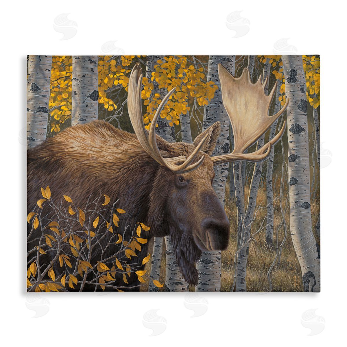 Jeff Hoff Moose in Fall Foliage Canvas Wall Art