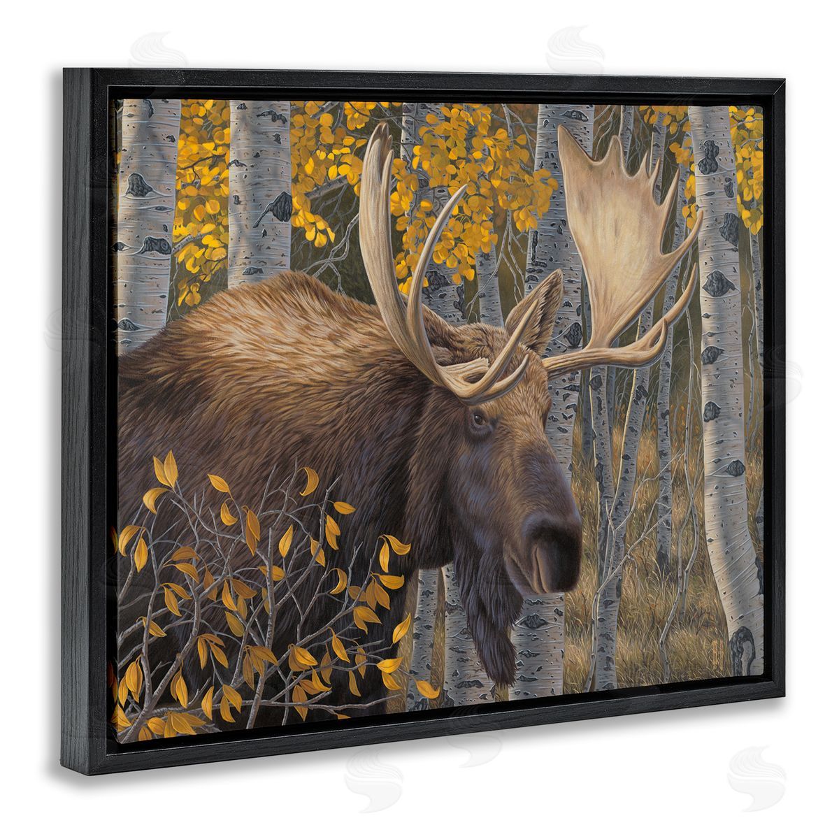 Jeff Hoff Moose in Fall Foliage Black Floater Frame Canvas Artside_