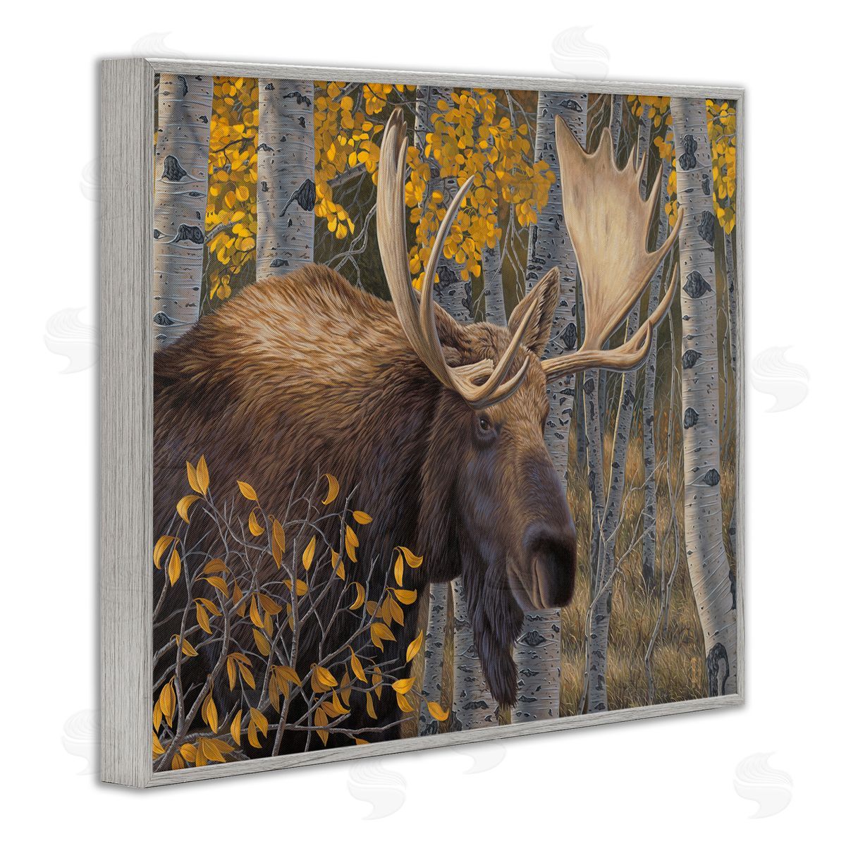 Jeff Hoff Moose in Fall Foliage Gray Framed Giclee Wall Artside_