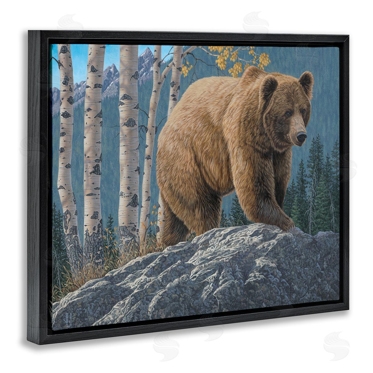 Jeff Hoff Brown Bear on Rock Black Floater Frame Canvas Artside_