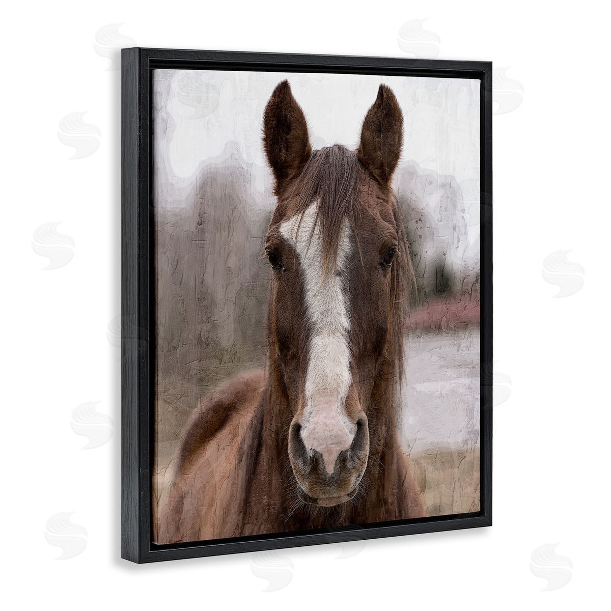 Kim Allen Colt Horse Portrait Black Floater Frame Canvas Artside_