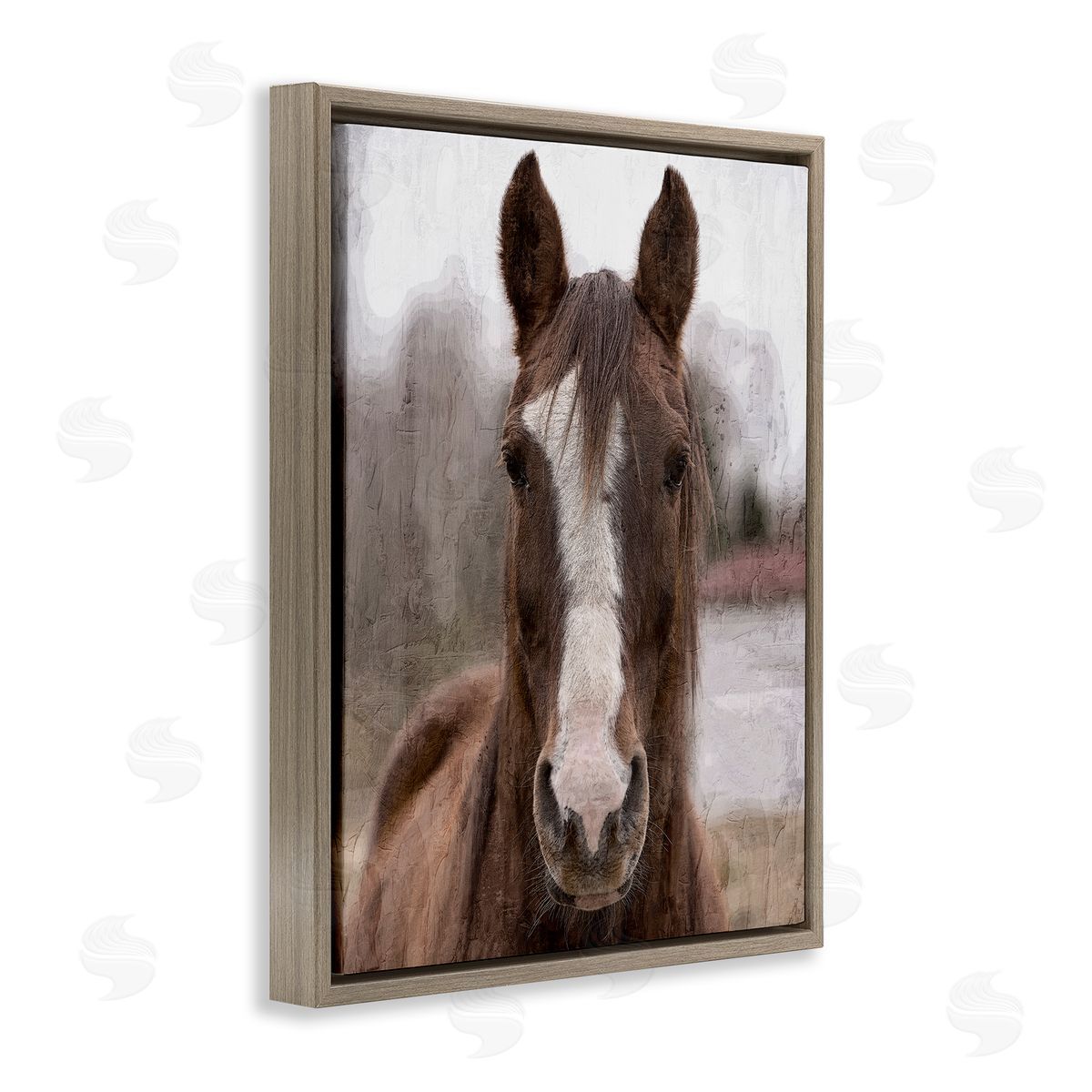 Kim Allen Colt Horse Portrait Brown Floater Frame Canvas Artside_