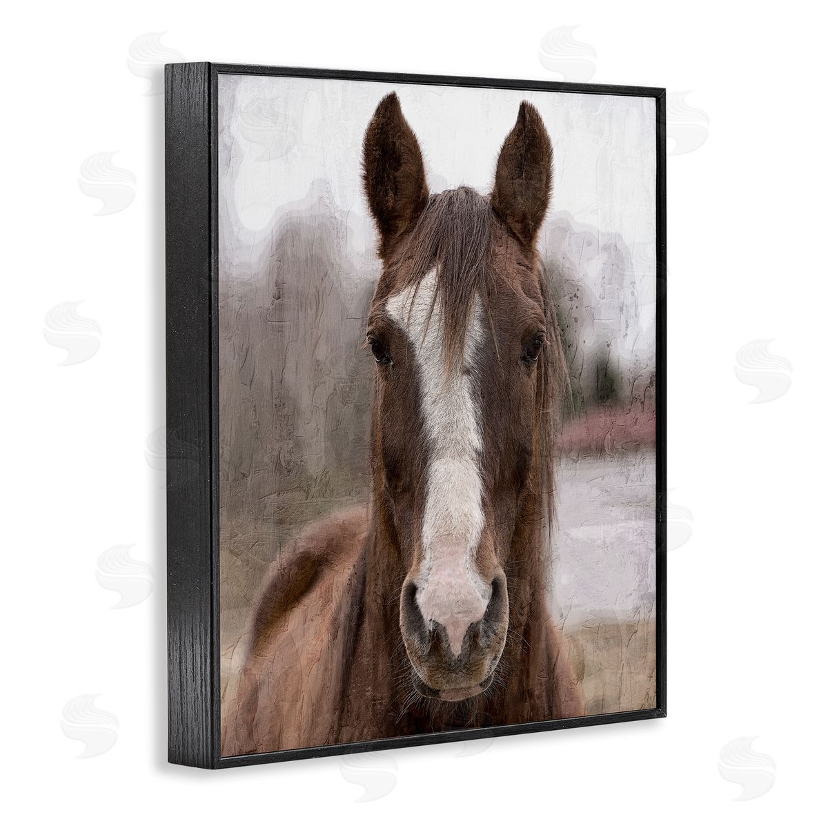Kim Allen Colt Horse Portrait Black Framed Giclee Wall Artside_