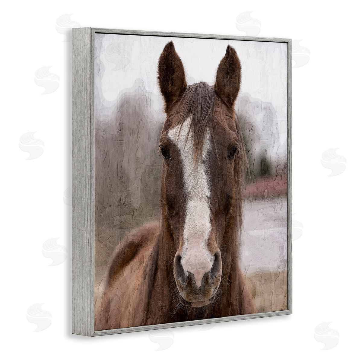 Kim Allen Colt Horse Portrait Gray Framed Giclee Wall Artside_