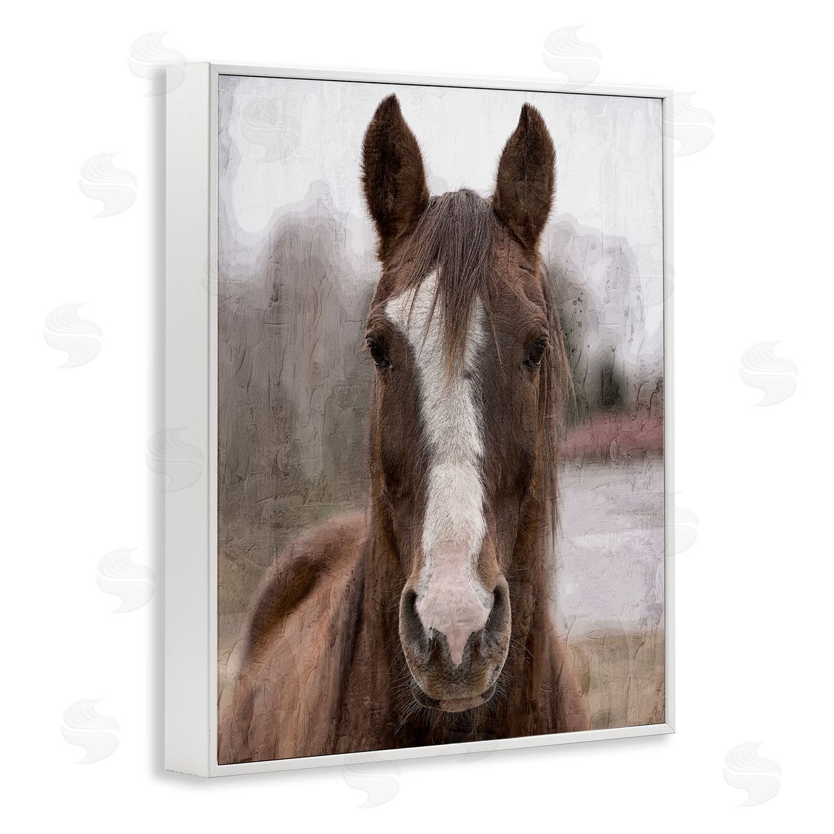 Kim Allen Colt Horse Portrait White Framed Giclee Wall Artside_