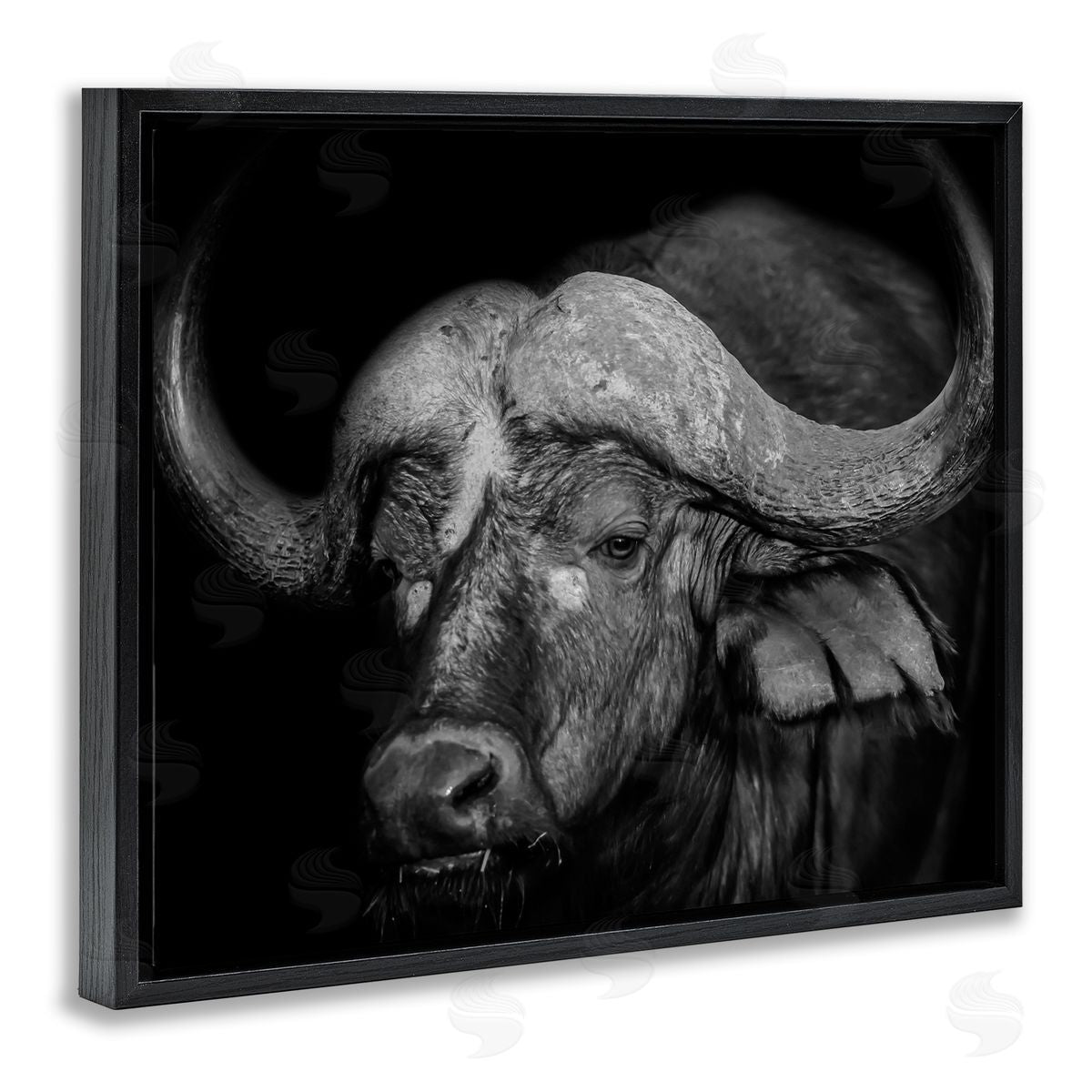 Marcus Prime Dark Buffalo Photography Black Floater Frame Canvas Artside_
