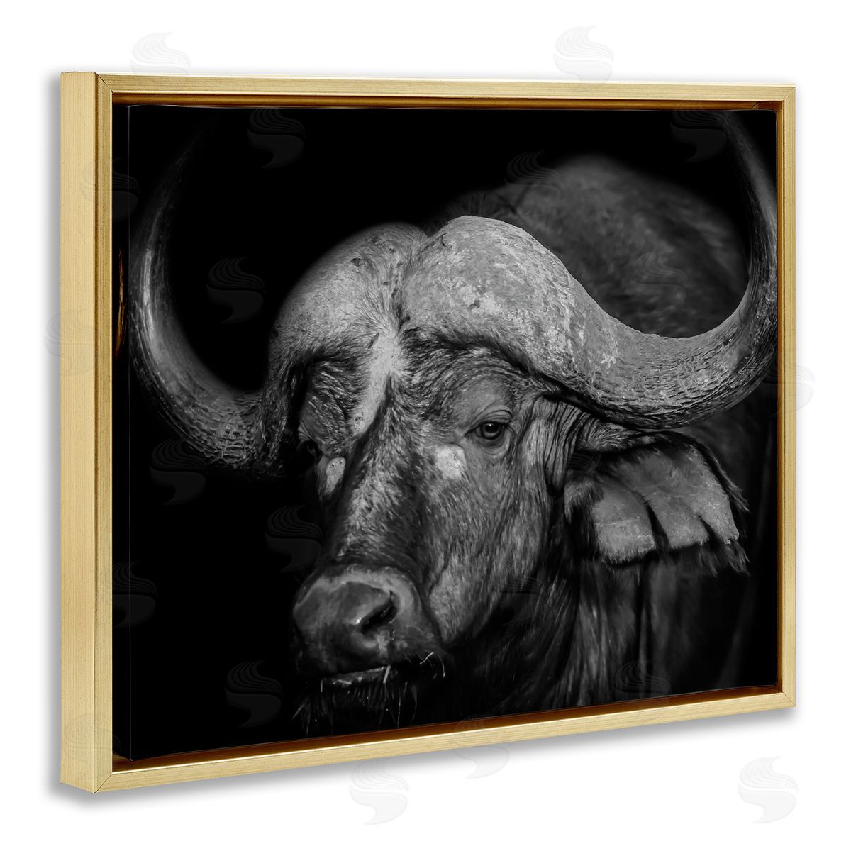 Marcus Prime Dark Buffalo Photography Gold Floater Frame Canvas Artside_