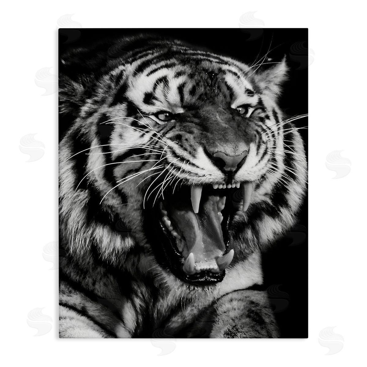 Marcus Prime Tiger Roaring Photography Canvas Wall Art