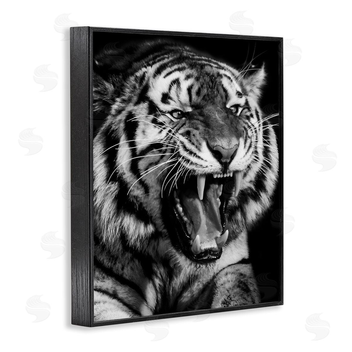 Marcus Prime Tiger Roaring Photography Black Framed Giclee Wall Artside_