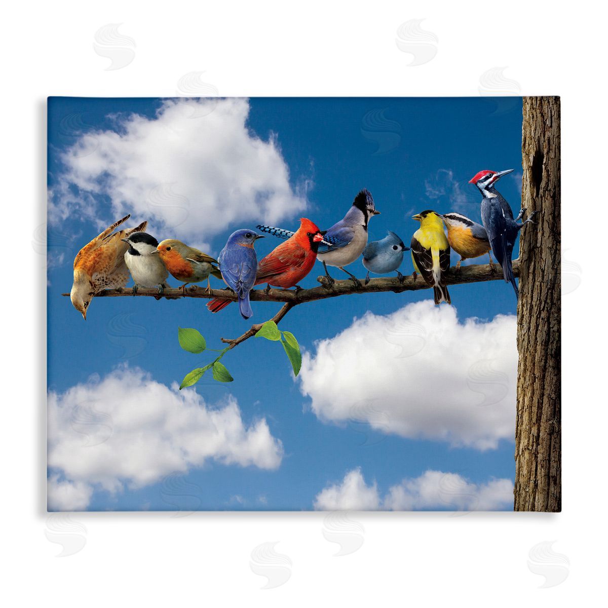 Vincent Hie Various Birds on Branch Canvas Wall Art