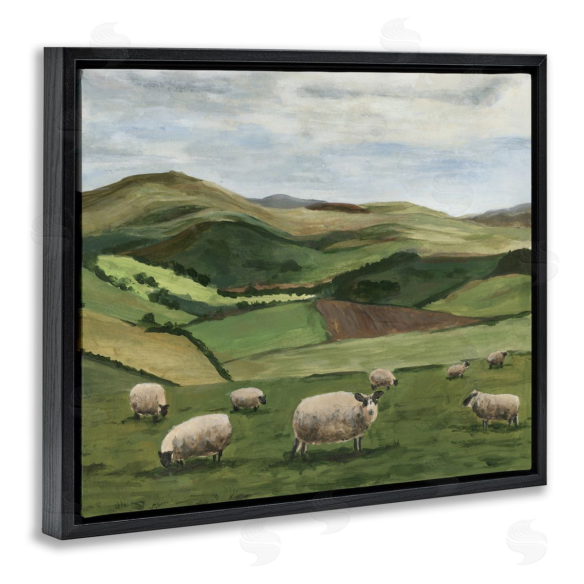 Michael Willett Countryside Sheep Grazing Black Floater Frame Canvas Artside_