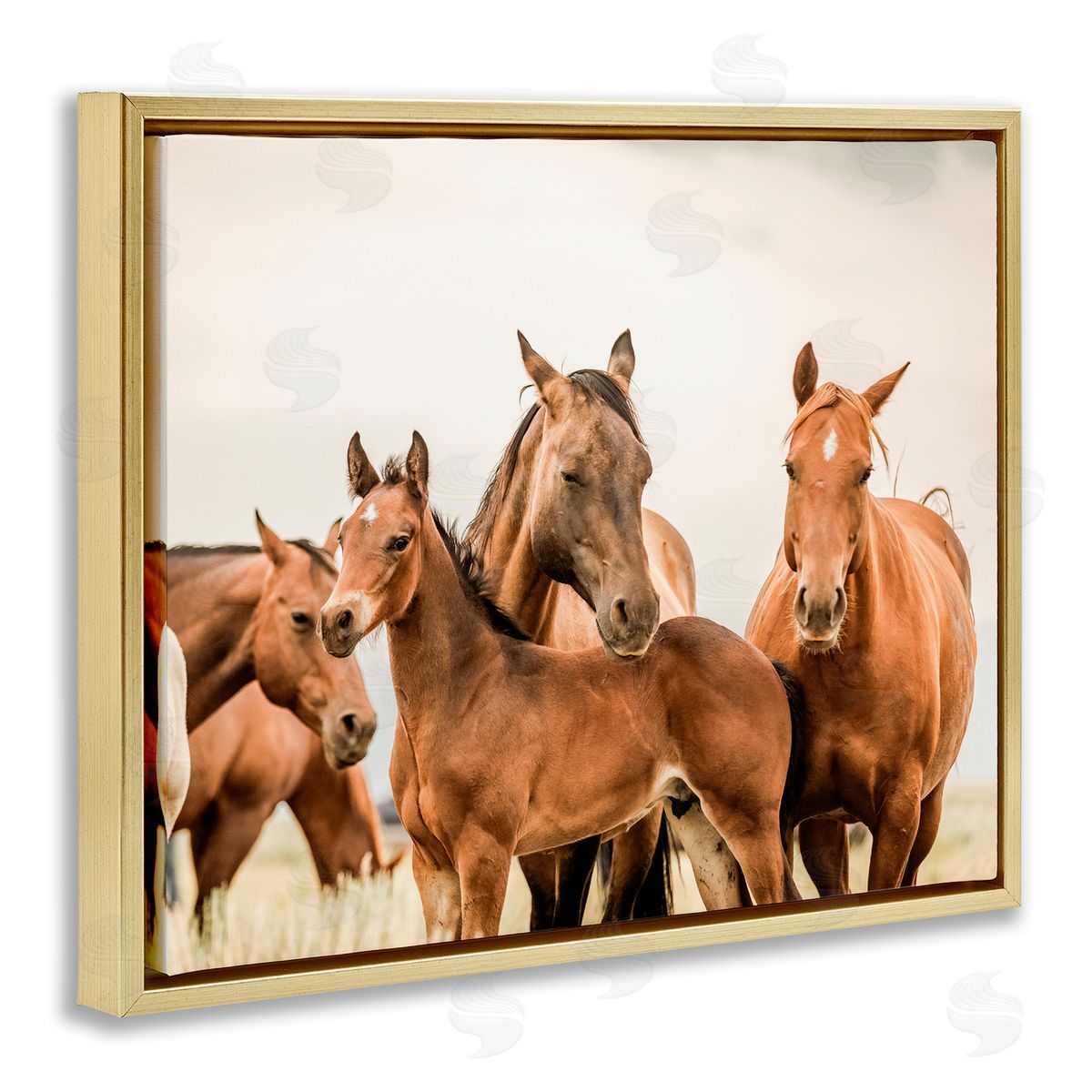 Horse & Foals Photography Gold Floating Frame Canvas Wall Art, Home Decor by Krista Broadway
