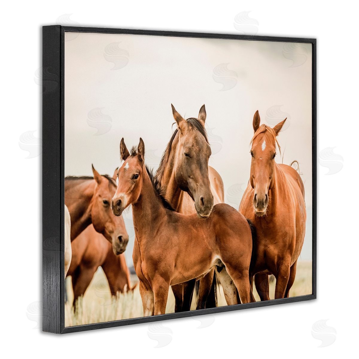 Horse & Foals Photography Black Frame Print Wall Art, Home Decor by Krista Broadway