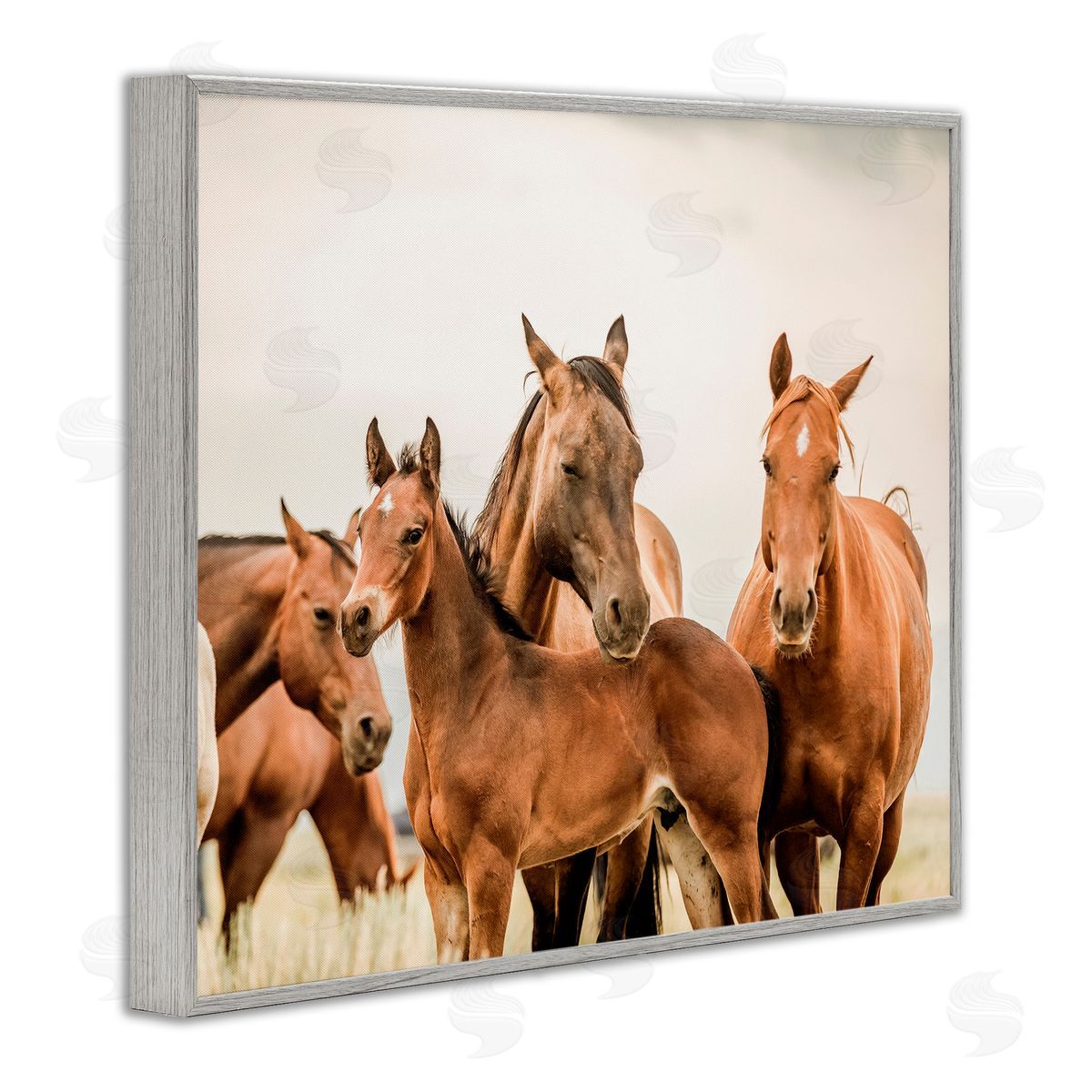 Horse & Foals Photography Grey Frame Print Wall Art, Home Decor by Krista Broadway