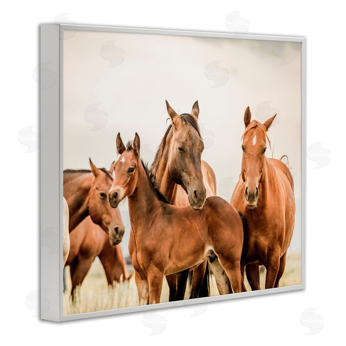 Horse & Foals Photography White Frame Print Wall Art, Home Decor by Krista Broadway