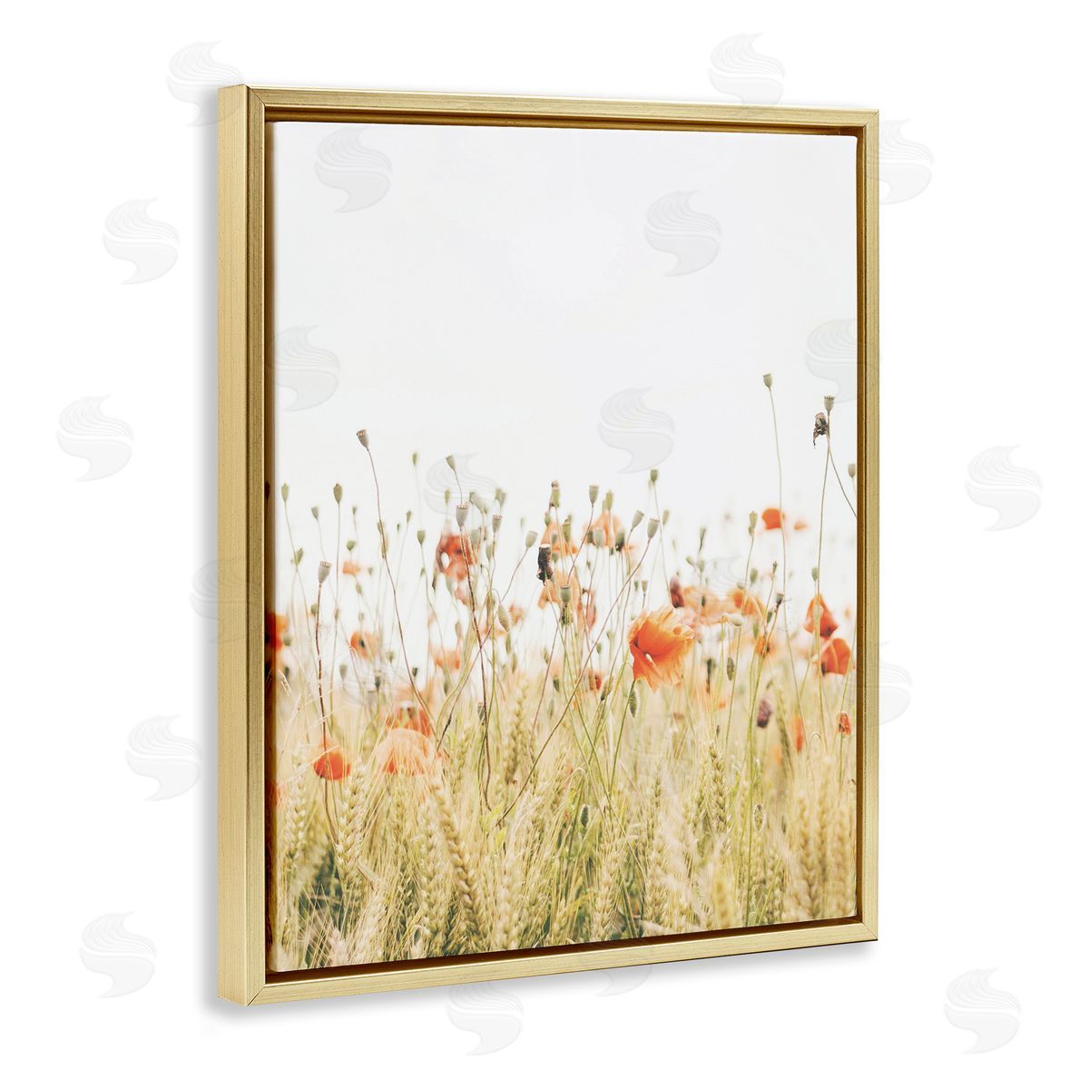 Poppy Field Photography Gold Floating Frame Canvas Wall Art, Home Decor by Krista Broadway
