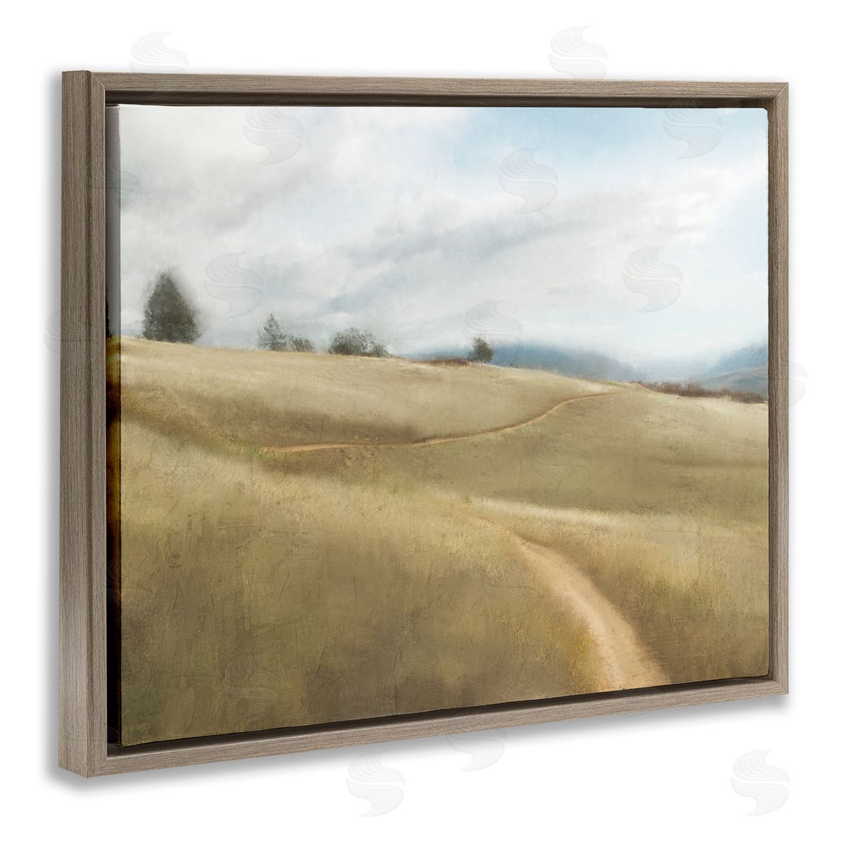 Kim Allen Country Path Landscape Brown Floater Frame Canvas Artside_