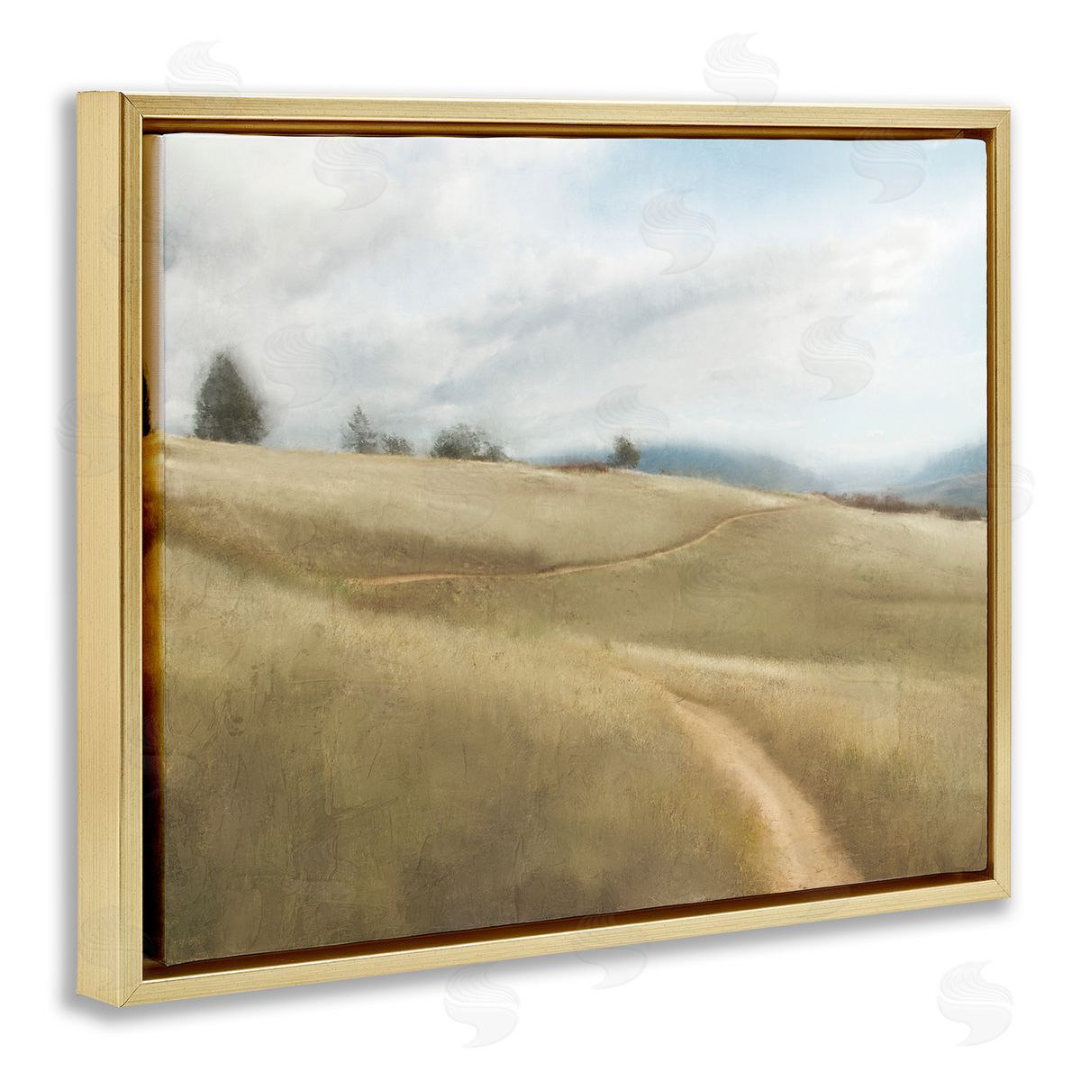 Kim Allen Country Path Landscape Gold Floater Frame Canvas Artside_