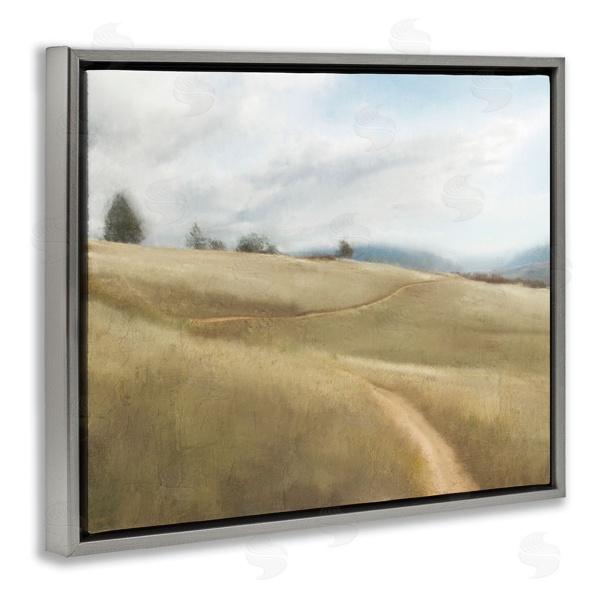Kim Allen Country Path Landscape Gray Floater Frame Canvas Artside_