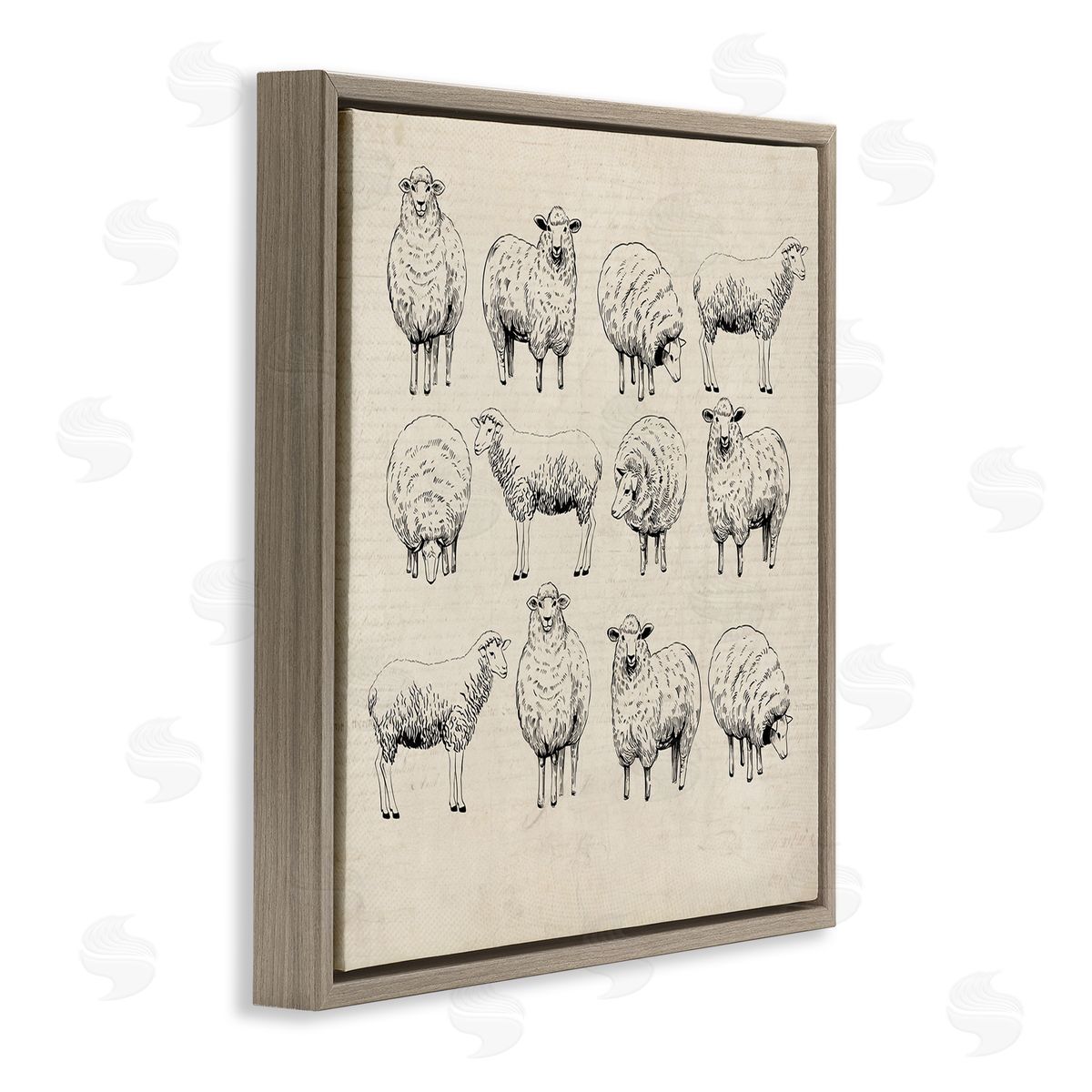 Karen Smith Vintage Sheep Drawings Brown Floater Frame Canvas Artside_