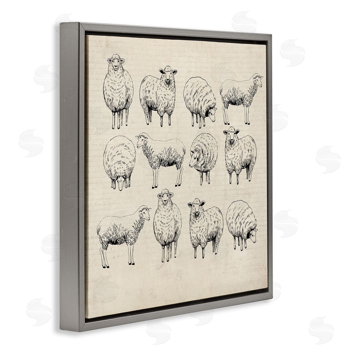 Karen Smith Vintage Sheep Drawings Gray Floater Frame Canvas Artside_