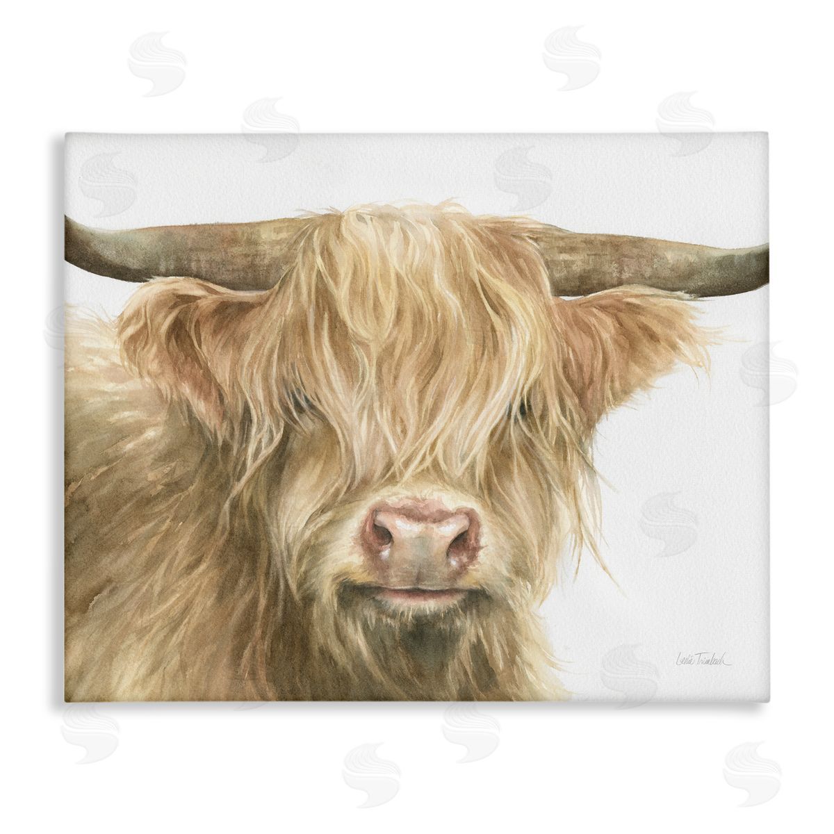 Leslie Trimbach Longhorn Cattle Painting Canvas Wall Art