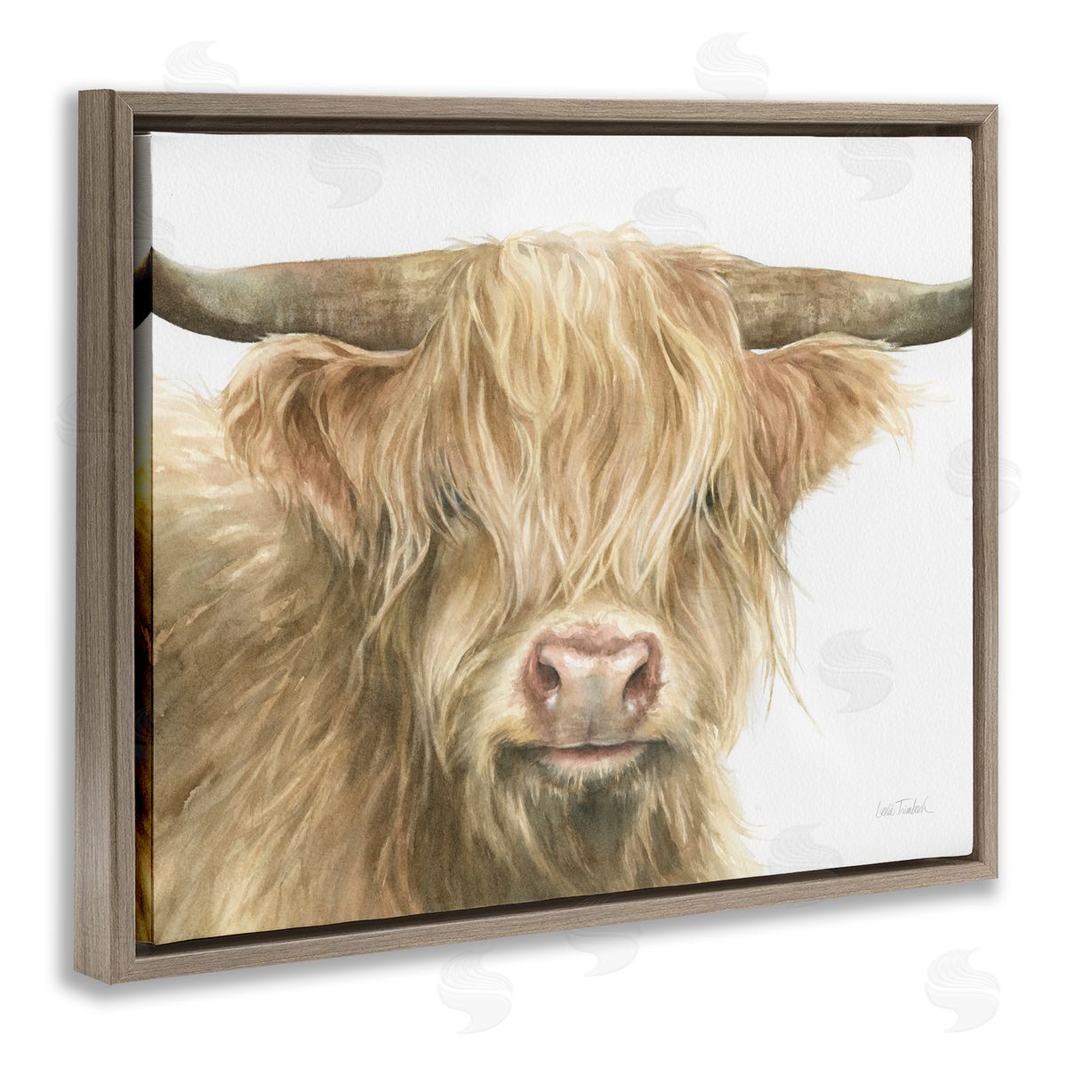 Leslie Trimbach Longhorn Cattle Painting Brown Floater Frame Canvas Artside_