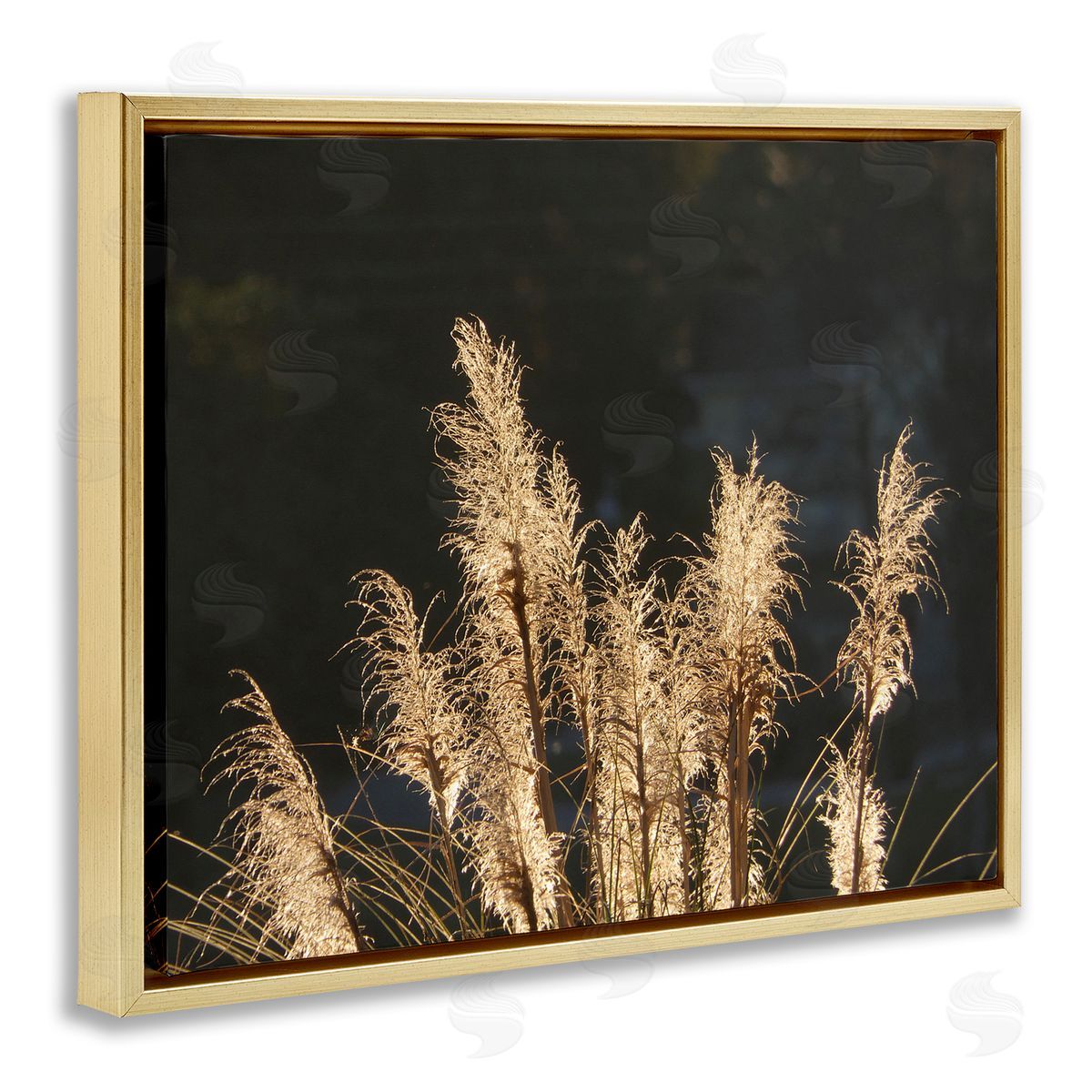Gail Peck Dark Wheat Photography Gold Floater Frame Canvas Artside_
