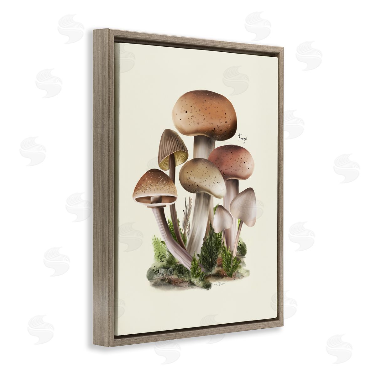 Studio Q Brown Woodland Mushrooms Brown Floater Frame Canvas Artside_