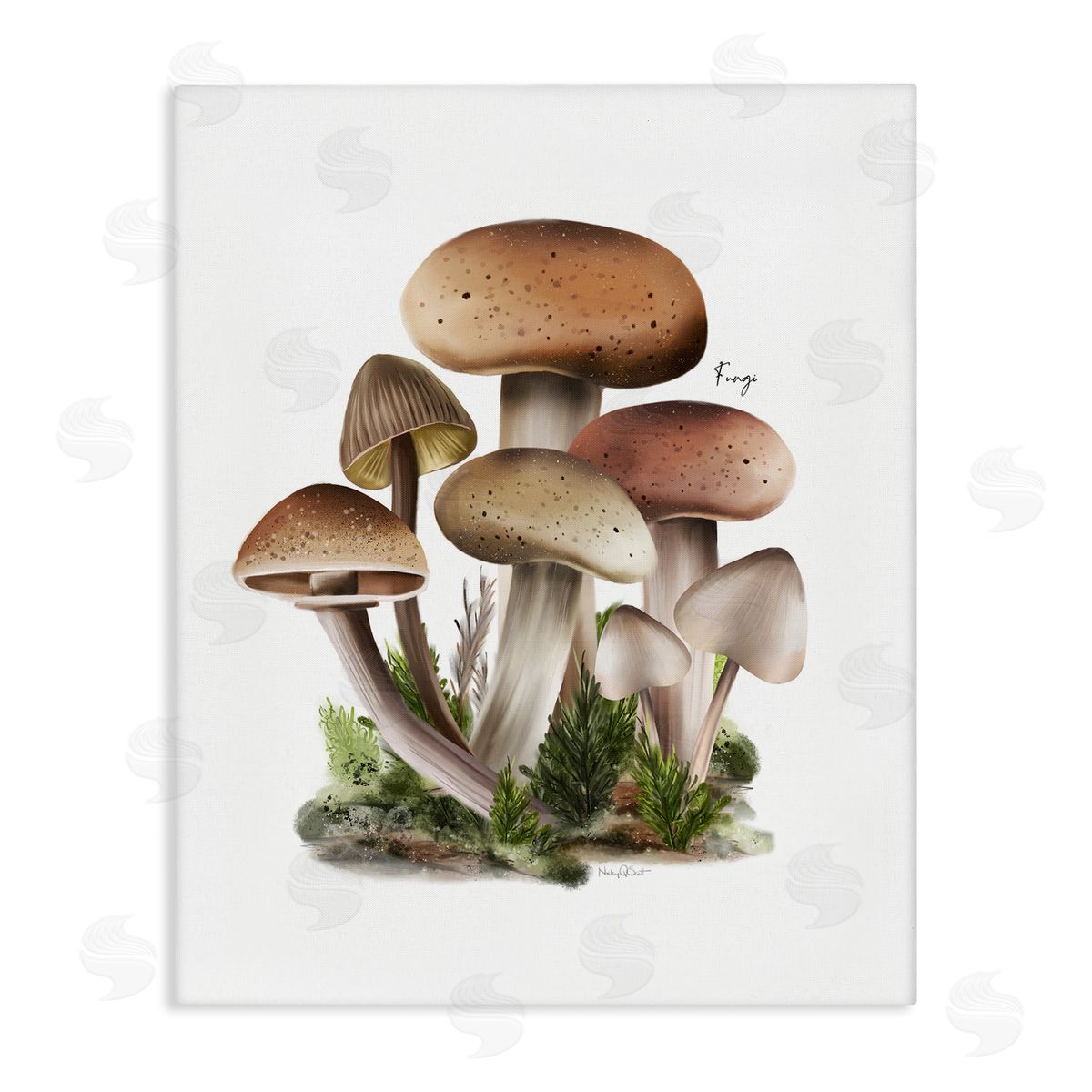 Studio Q Mushrooms on White Canvas Wall Art