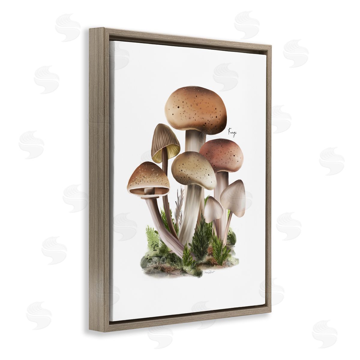 Studio Q Mushrooms on White Brown Floater Frame Canvas Artside_