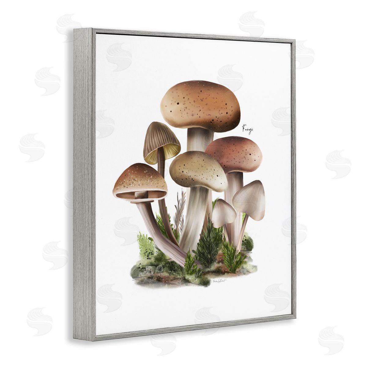 Studio Q Mushrooms on White Gray Framed Giclee Wall Artside_