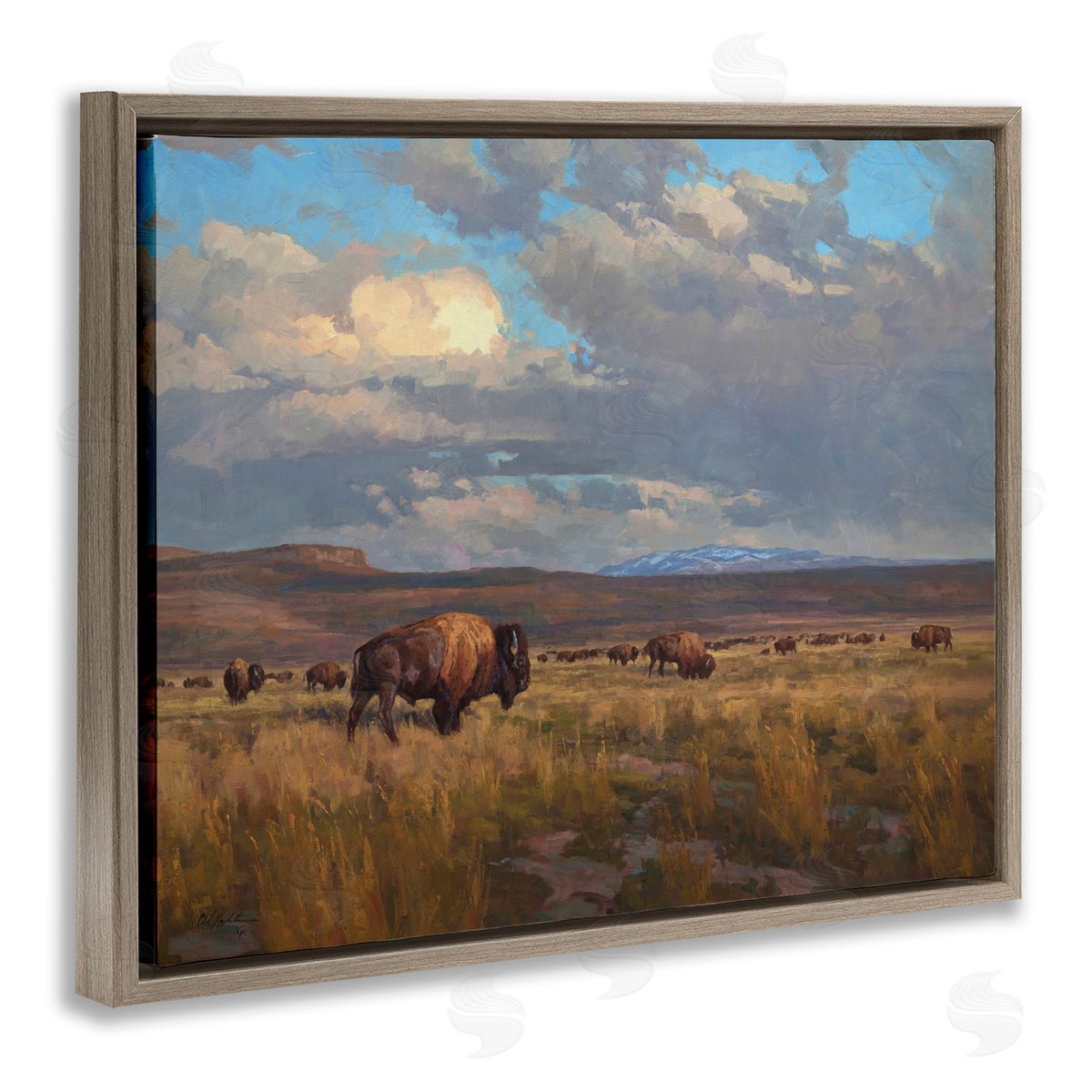 Chad Poppleton Buffalo Cloudy Landscape Brown Floater Frame Canvas Artside_
