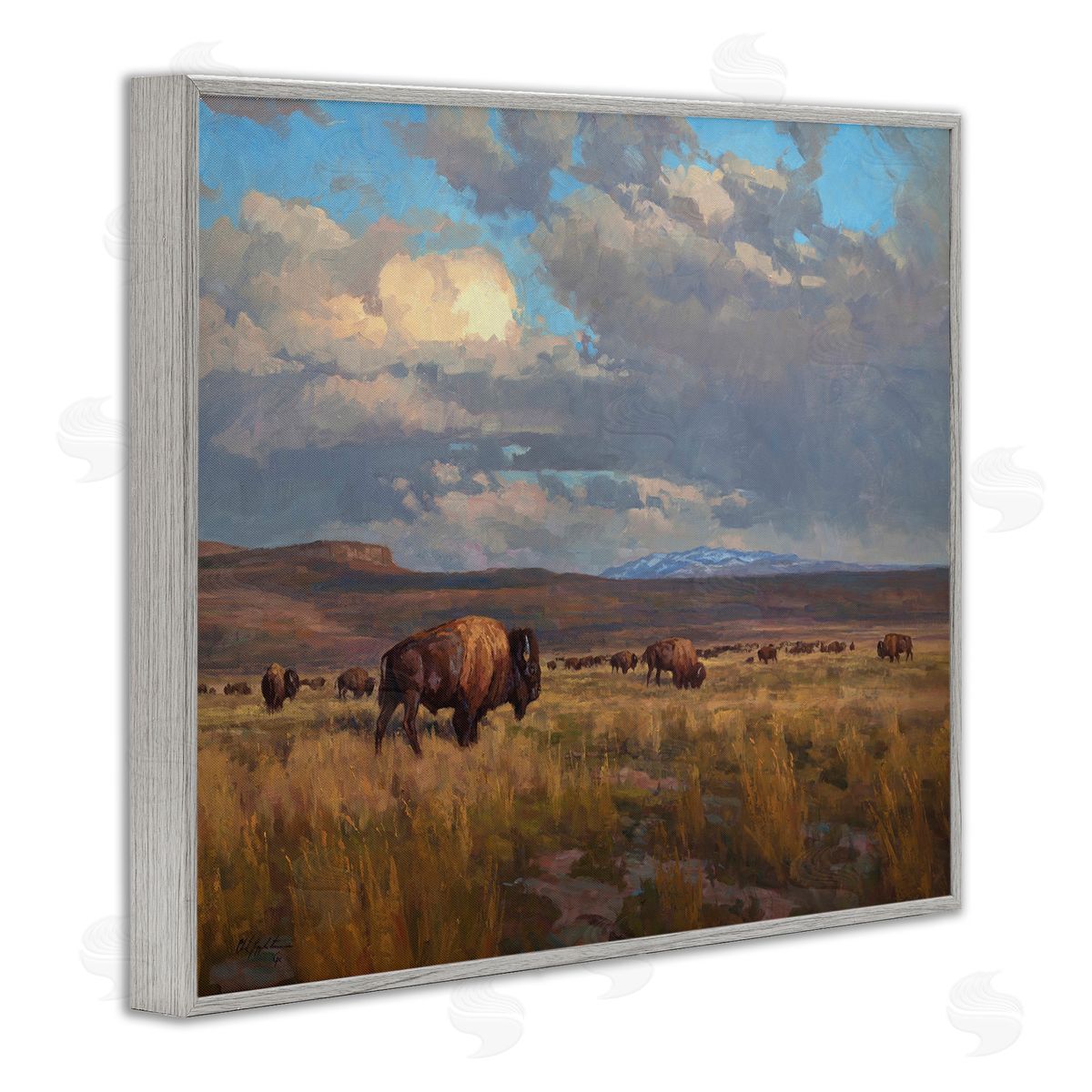 Chad Poppleton Buffalo Cloudy Landscape Gray Framed Giclee Wall Artside_
