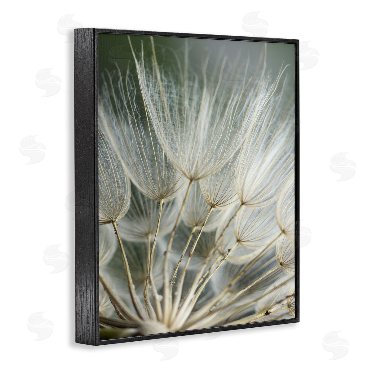 Renee W. Stramel Soft Dandelion Photography Black Framed Giclee Wall Artside_