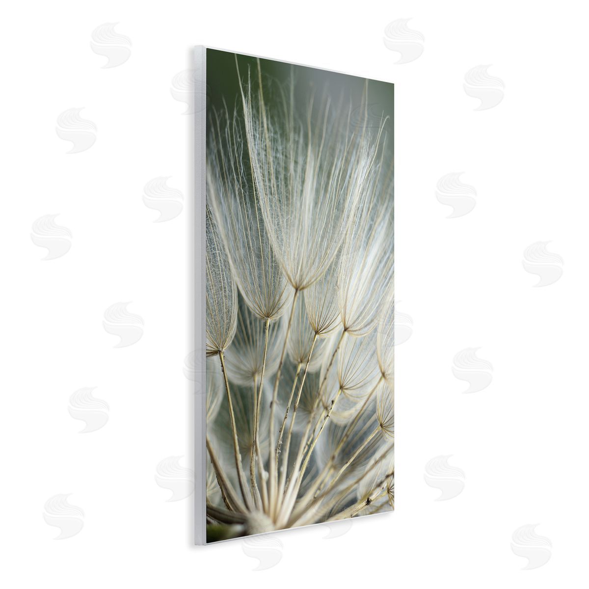 Renee W. Stramel Soft Dandelion Photography Wall Plaque Artside_