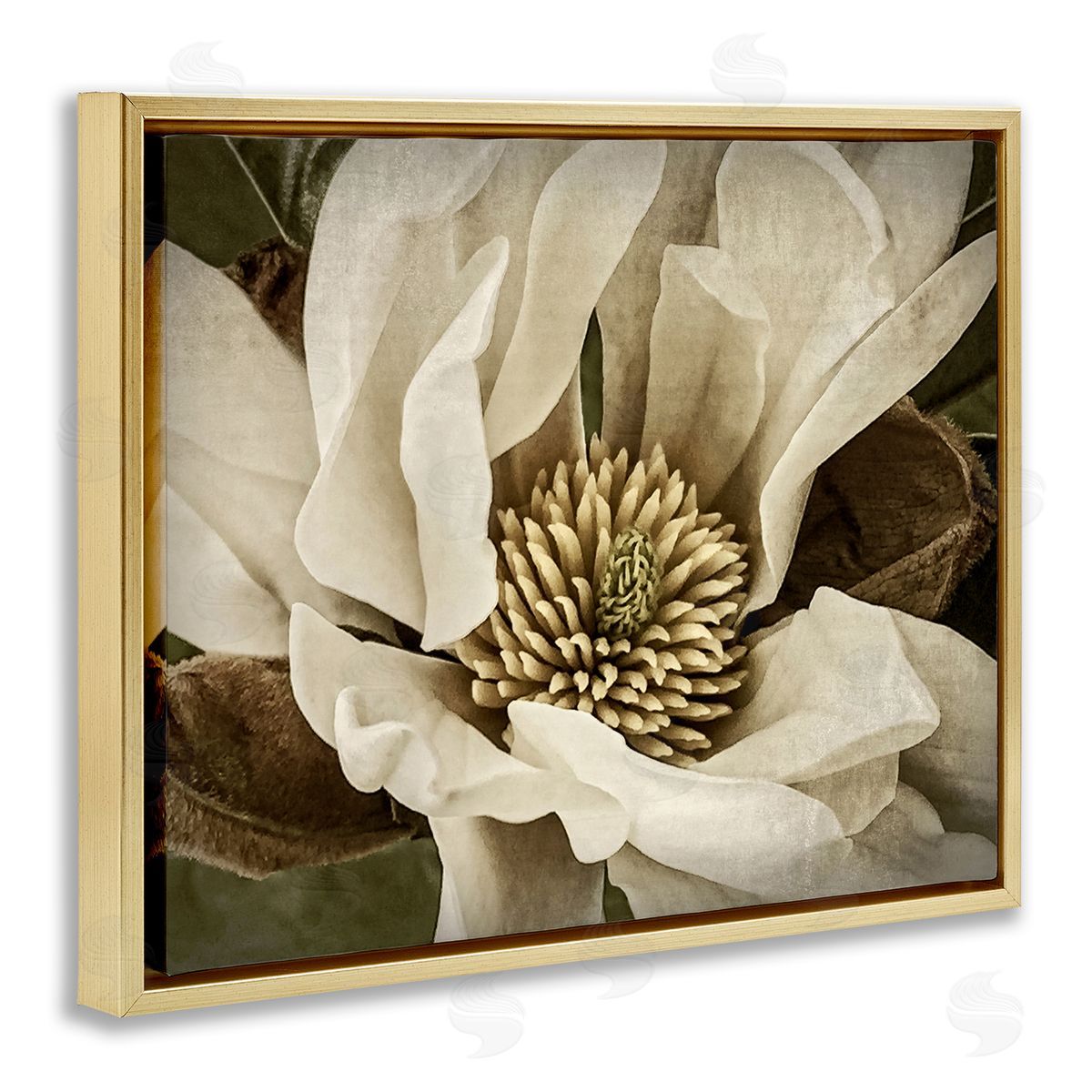 Rachel Perry Rustic Flower Close Up Gold Floater Frame Canvas Artside_