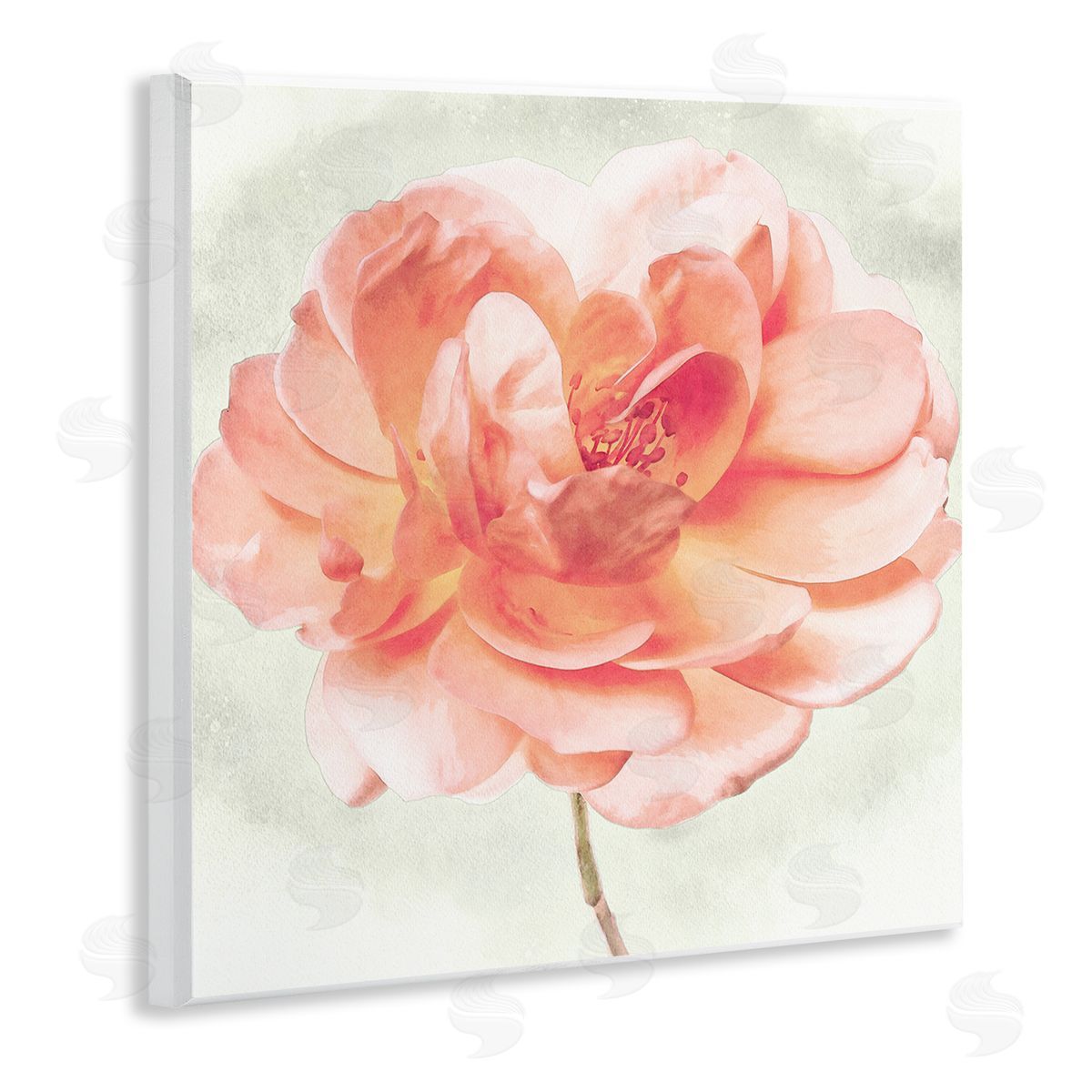 Christine Zalewski Soft Pink Dahlia Wall Plaque Artside_