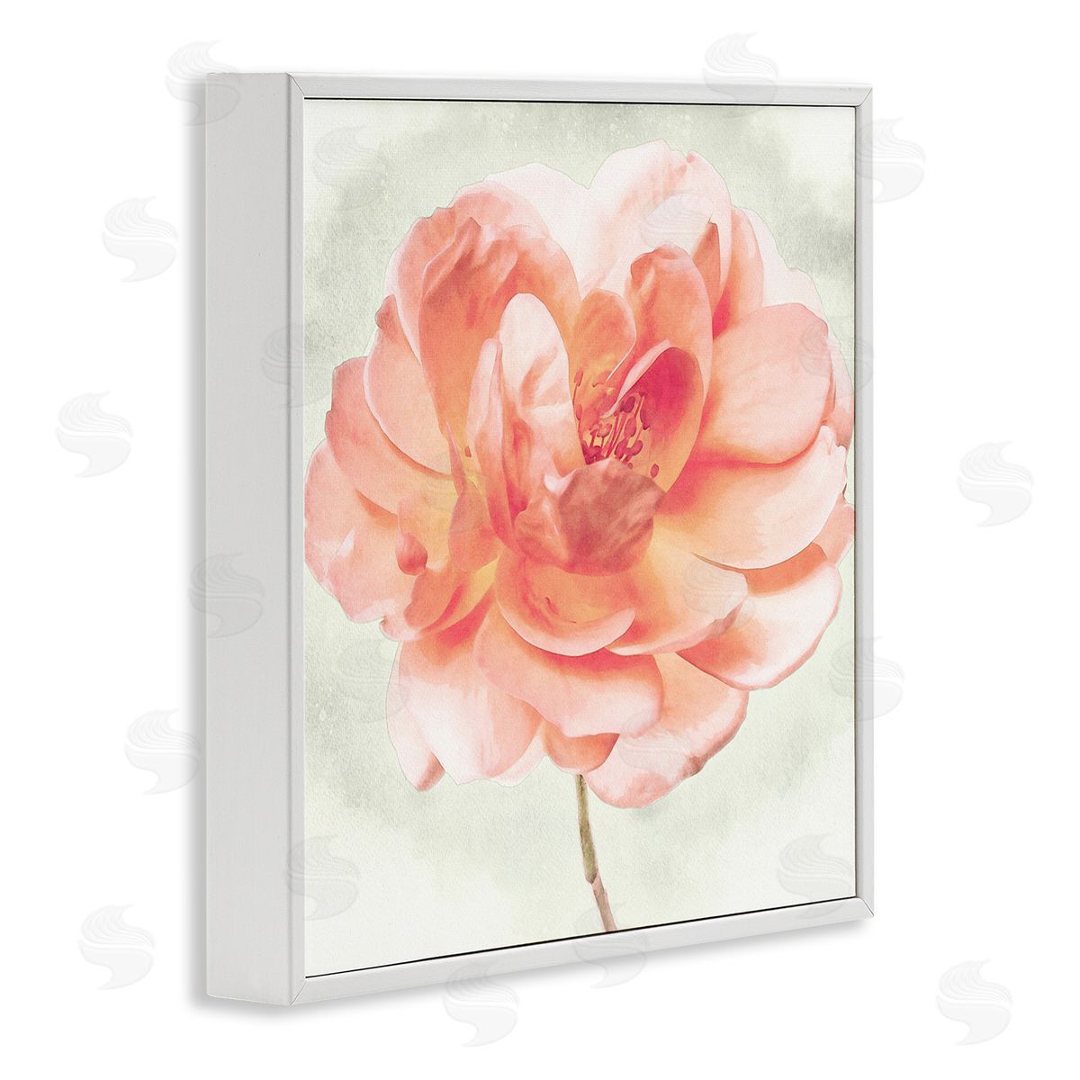 Christine Zalewski Soft Pink Dahlia White Framed Giclee Wall Artside_